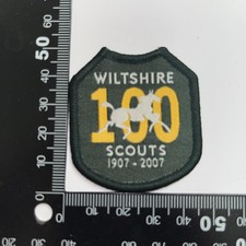 Boy Scout - English County Badge Wiltshire 100 years    (A49)