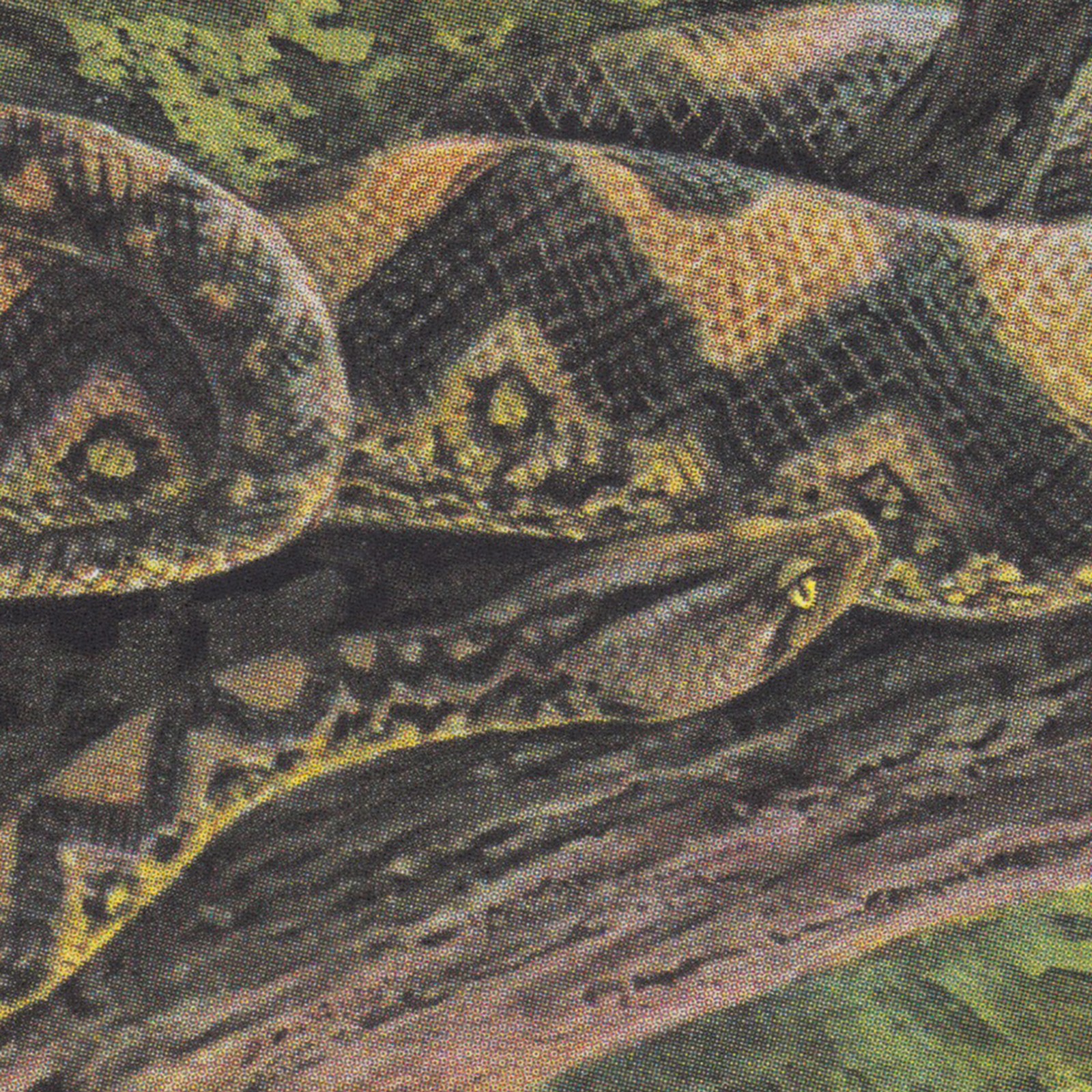 Альбом Rainforest Spiritual Enslavement Ambient Black Magic (винил) 12