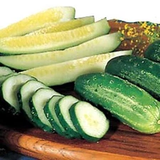 Cucumber Homemade Pickle Vegetable Seeds