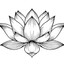 Lotus Liquidation