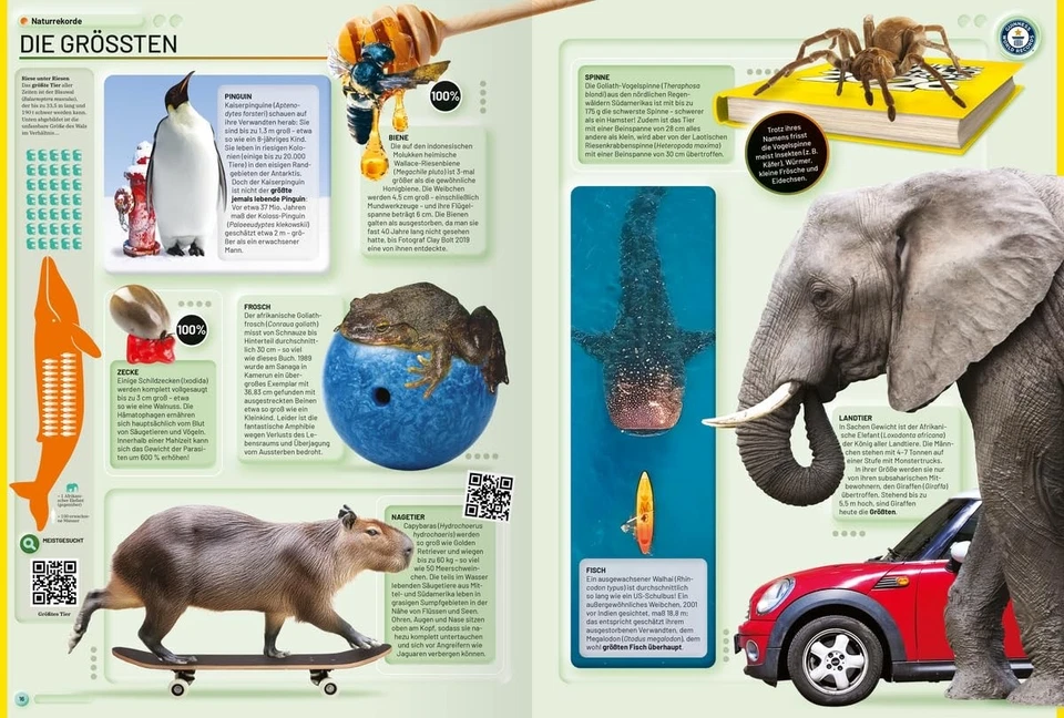 GUINNESS WORLD RECORDS 2026 | Das Guinness Buch der Rekorde (deutsche Ausgabe) - Bild 4 von 4