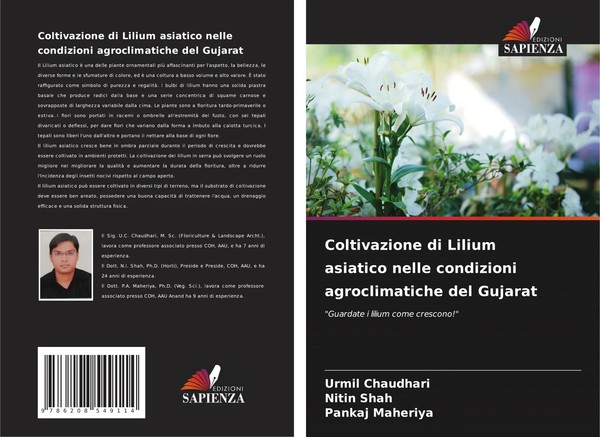 Urmil Chaudhari (U. A.) | Coltivazione Di Lilium Asiatico Nelle Condizioni...-image