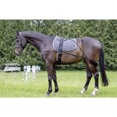 HKM Lunging Training Aid Mocks Pessoa System Fits Cob - Large Horse Adjustable