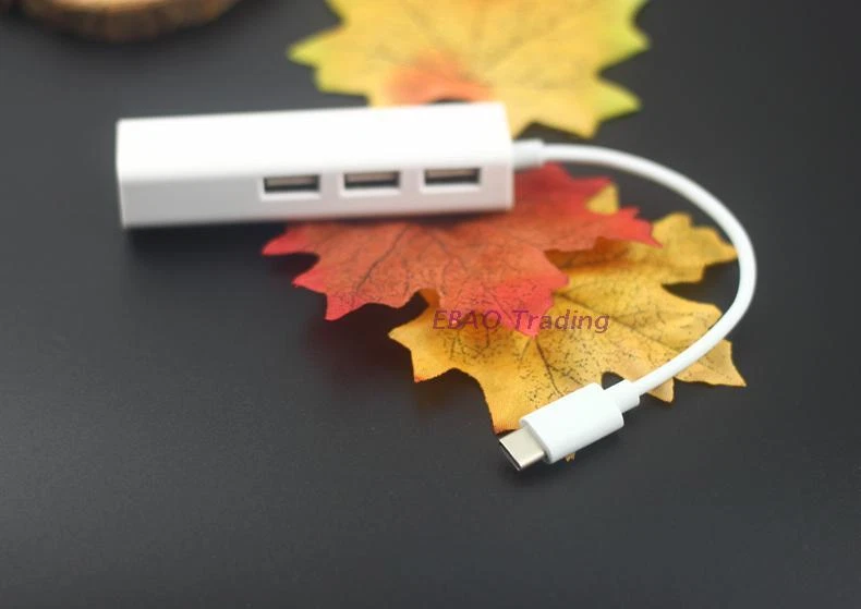 USB 3.1 Type C Hub with Ethernet Adapter for MacBook & Laptops  