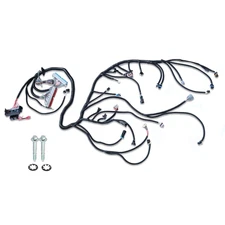 LS Standalone Wiring Harness for LS Swaps Engine DBC 4.8 5.3 6.0 1997-2006 LS1-4