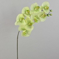 Artplants Kunst Phalaenopsis Zweig Aurelia, Real Touch, Creme - GrüN, 95Cm