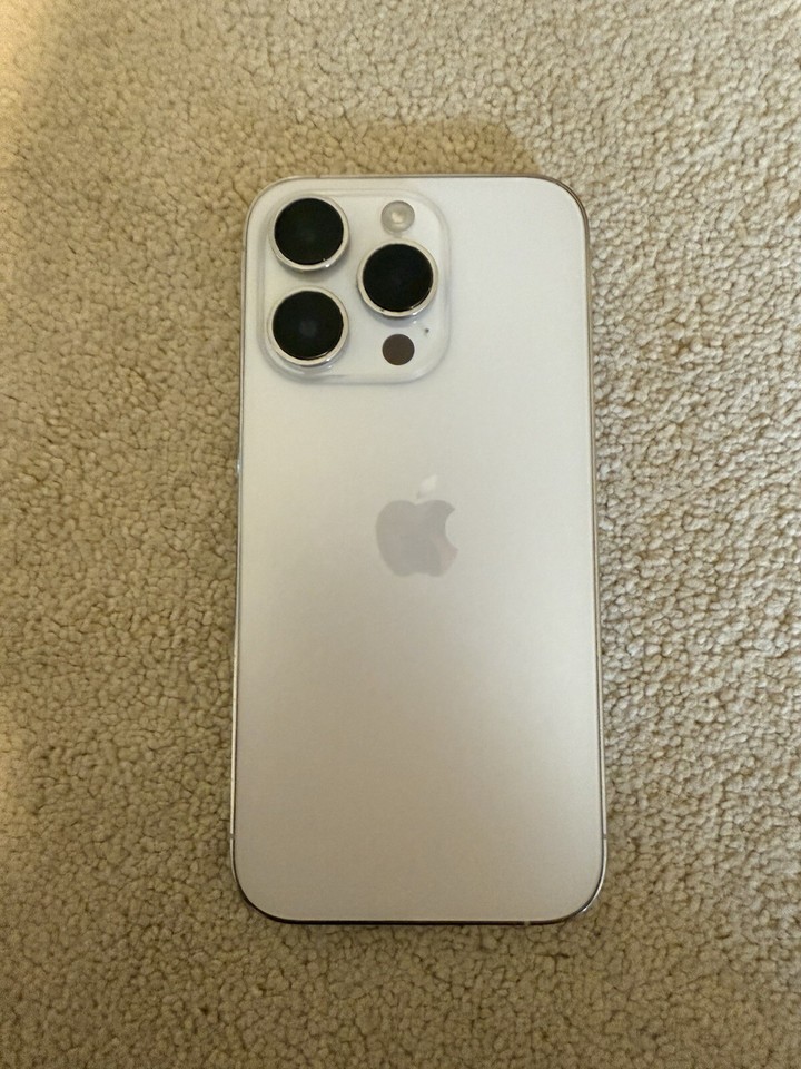 Apple iPhone 14 Pro 256GB Silver (Unlocked) 194253402824 eBay