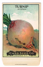 OLD VINTAGE CARD SEED PACKET FLOWERS C1910 TURNIP RUTABAGA VEGETABLES FOLK ART