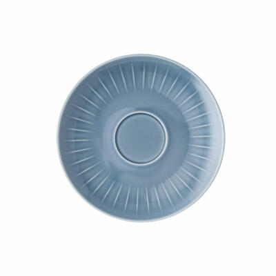 Tasse à Café Et Soucoupe Combi Hutschenreuther Ann Marie - Porcelaine, Ligne Bleue, 17cm, Neuve