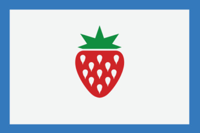 Aufkleber Searcy County (Arkansas) Flagge 12 x 8 cm Autoaufkleber Sticker