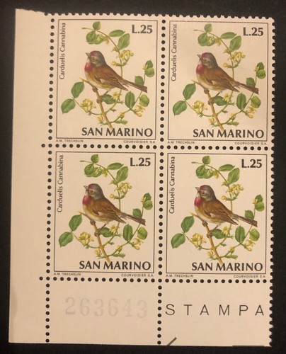 San Marino 1972 - Uccelli Serie Completa in Quartina MNH** Angolo Di Foglio - Foto 7 di 10