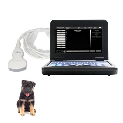 CONTEC CMS600P2VET Tragbares Ultraschallgerät für die Tiermedizin Konvexe Sonde