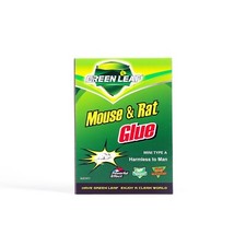 Green Leaf Mouse & Rat Glue Traps - Harmless to man 