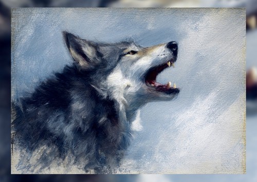 Howling Grey Wolf Portrait 5"x7" Print on Matte Paper | Bold Oil Wildlife Art - Picture 6 of 17