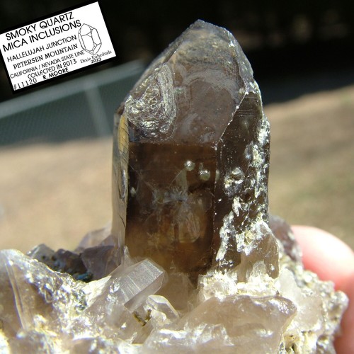 SMOKY QUARTZ CRYSTAL with MICA INCLUSIONS HALLELUJAH JUNCTION PETERSEN MOUNTAIN - Picture 15 of 18