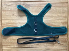Cat Harness and Leash Set Solid Green Size X-Large Adjustable Padded Vest