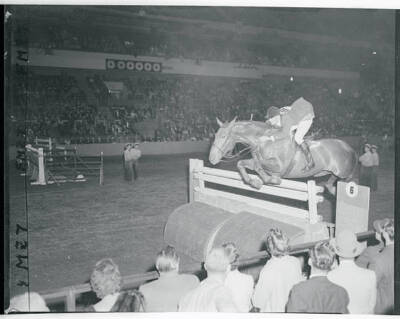 Dale Steinkraus in the Jump-Off Competition 1955 Photo - Winning Flight. New Yor