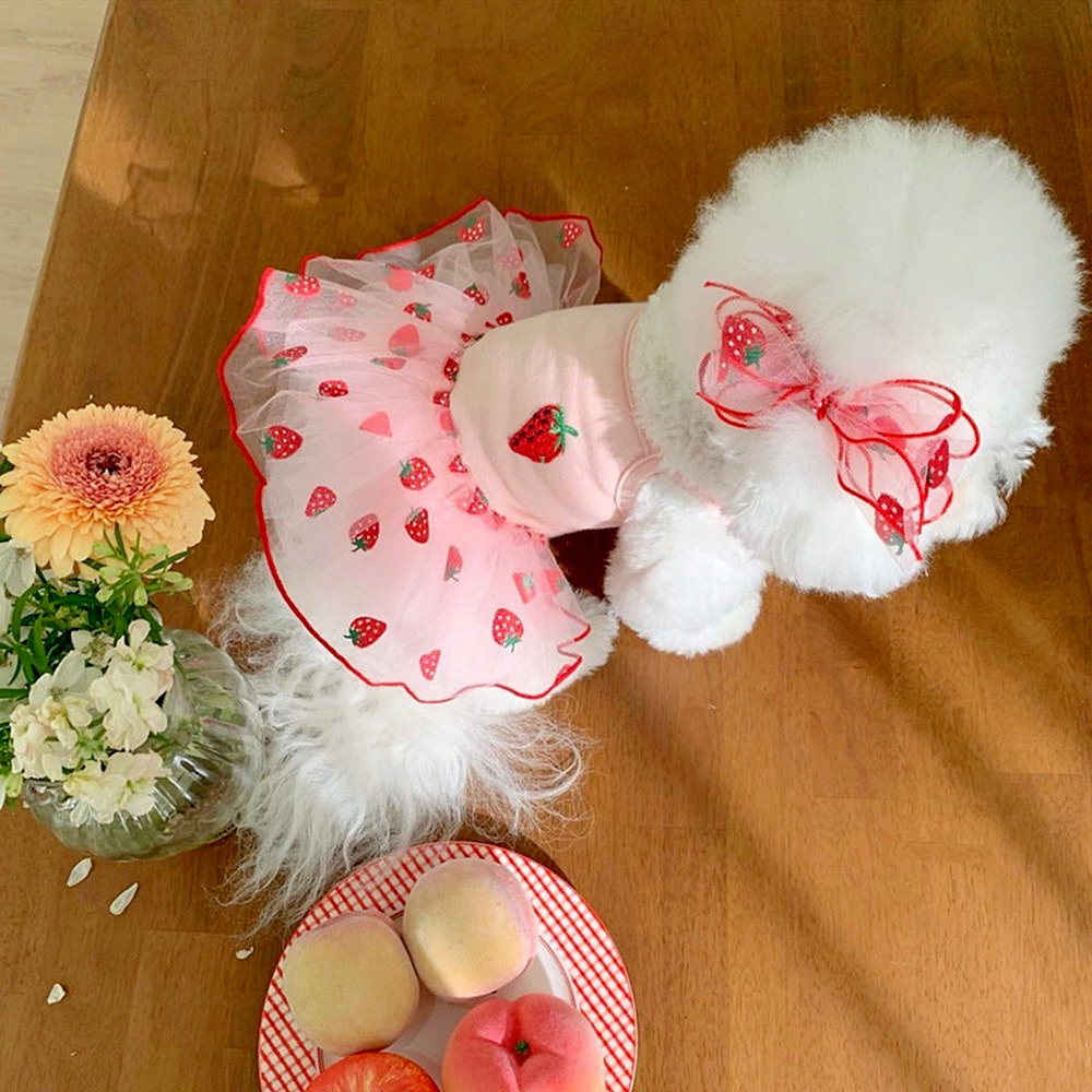 cat birthday dress #birthday #baby #cat #unleashthetails #dress