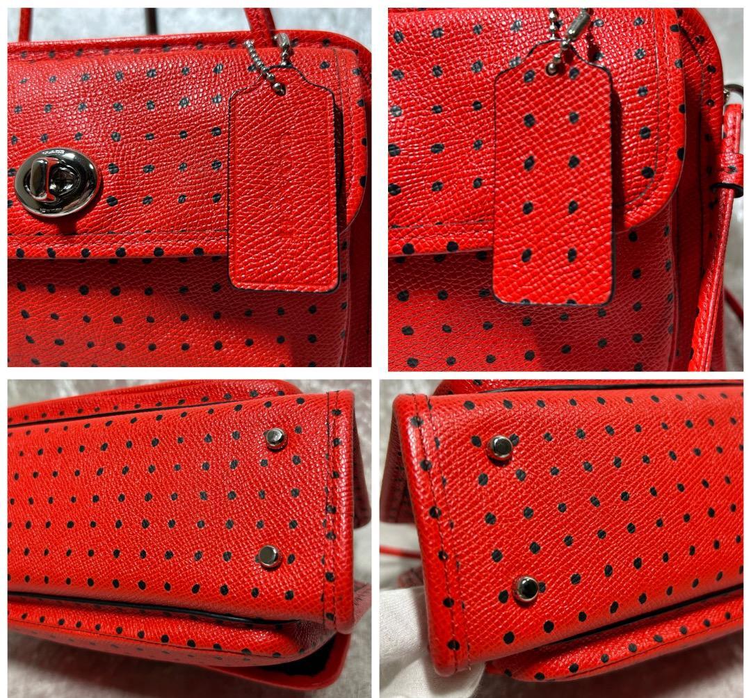 Rare Coach Shoulder Bag Crossbody Dot 2Way Paisley | eBay