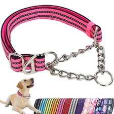 Martingale Collar for Dogs with Chain,Choker Dog Collar for Large Dogs P