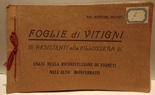 AL1 Foglie di Vitigni resistenti alla Fillossera Agostino Volanti, anni '20