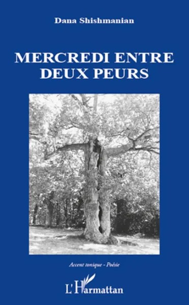 Dana Shishmanian | Mercredi Entre Deux Peurs | Taschenbuch | FranzöSisch (2020)-image