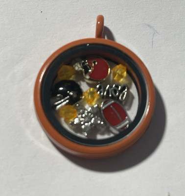 Cleveland Browns NFL Memory Charm Locket w/ 22 IN chain NEW