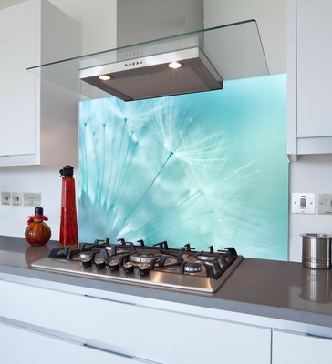 Toughened Heat Resistant Printed Kitchen Glass Splashback Blue Dandelion Ebay