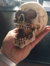 Skull Ashtray Office Desk Ornament Collector Paperweight Cigarette Retro Decor