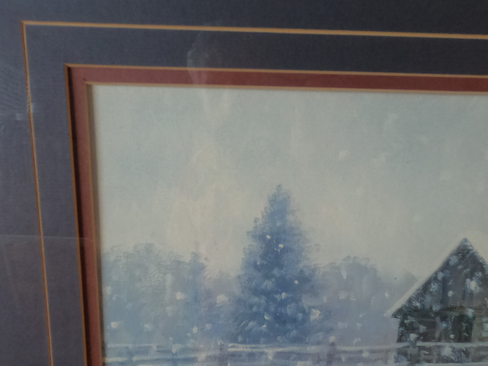 Picture 12 of 20