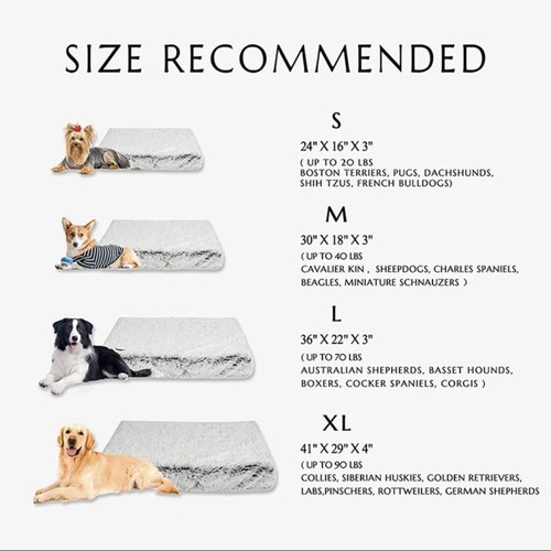 Small Plush Dog Bed - Plush Cat Bed - Fluffy Soft Pet Bed - Warm Calming Bed 1Pc - Picture 2 of 5