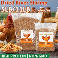 5lb/11lb Dried River Shrimp: High-Protein, All-Natural Feed Poultry, Fish  Bird