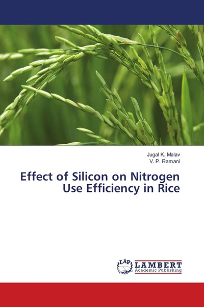 Jugal K. Malav (U. A.) | Effect Of Silicon On Nitrogen Use Efficiency In Rice-image