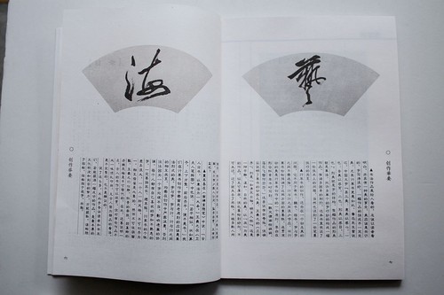 Libro de técnicas de aprendizaje de caligrafía china escritura cursiva escritura - Imagen 4 de 12