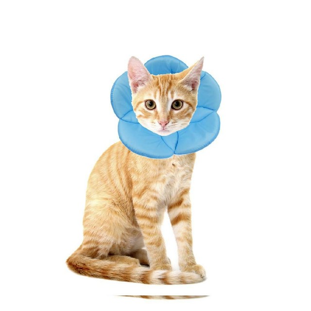 Pet by AnnaEye Recovery Cone ECollar for Cats Neck Size 7 inch, Sky