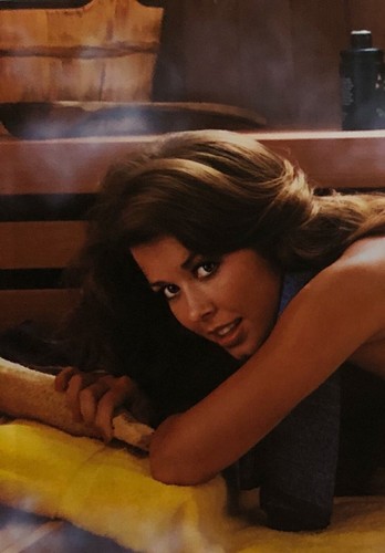 Vintage 1978 Miss June Gail Stanton Playboy Centerfold and Pictorial