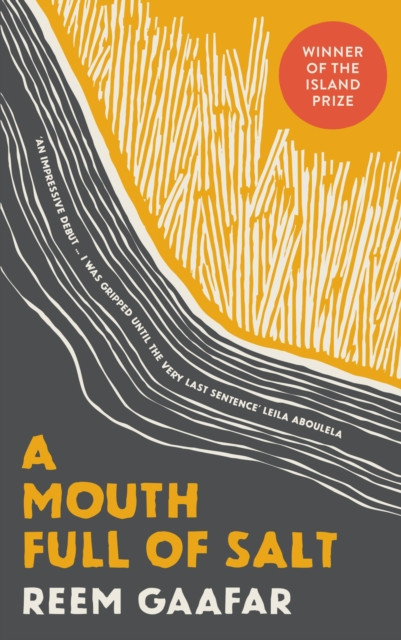 A Mouth Full of Salt by Reem Gaafar (Hardback Book)