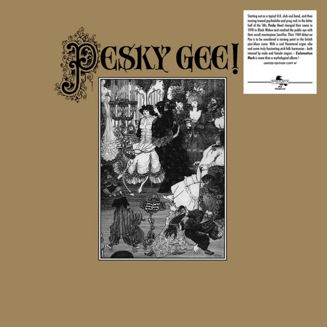 Exclamation Mark by Pesky Gee! (Vinyl 2024) - Image 2