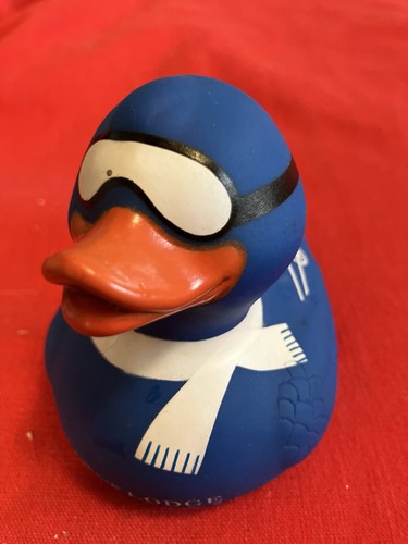 The Lodge Vernier Blue Ski Ducky - Picture 3 of 3