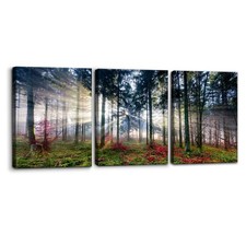 3 Pieces Canvas Wall Art Nature Landscape Sunrise Trees Pictures Painting Pri...