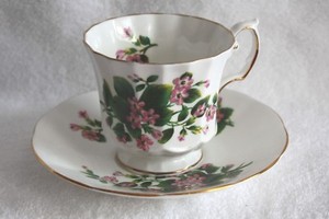 Elizabethan Fine Bone China Canadian Provincial  "Mayflower" Teacup & Saucer