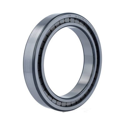 SL182926-B-XL-C3 INA 130 x 180 x 30 mm CYL. ROLL. SINGLE ROW