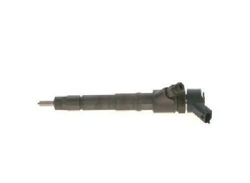 Original BOSCH Injector 0 445 110 248 for Citroën Fiat Iveco Peugeot