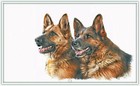 Bild 75 von 239