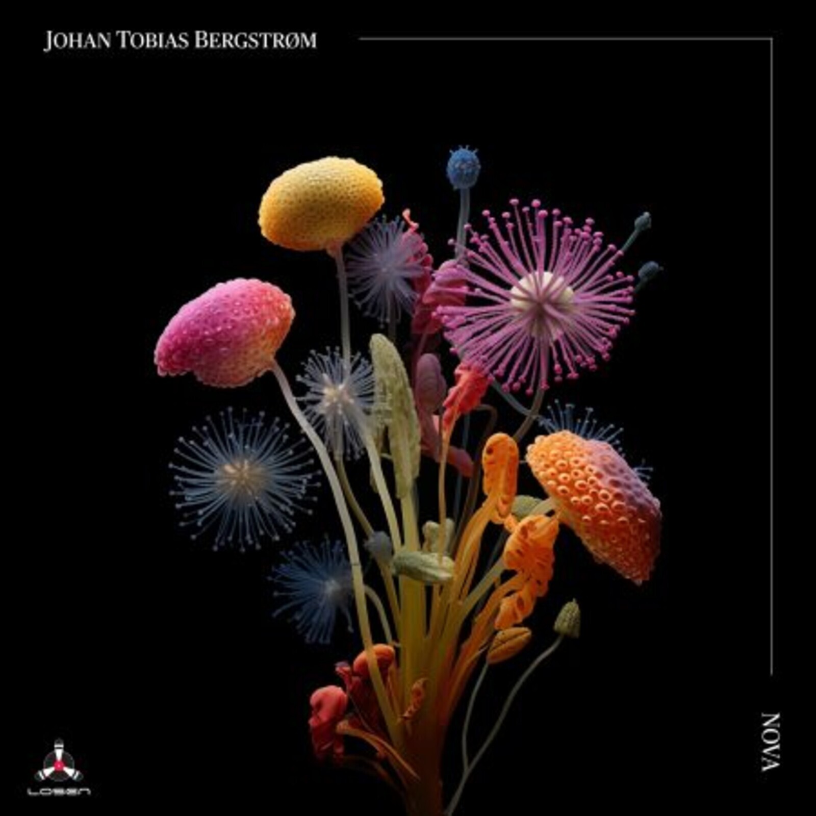 Johan Tobias Bergstrom Nova CD LOS3082 NEW