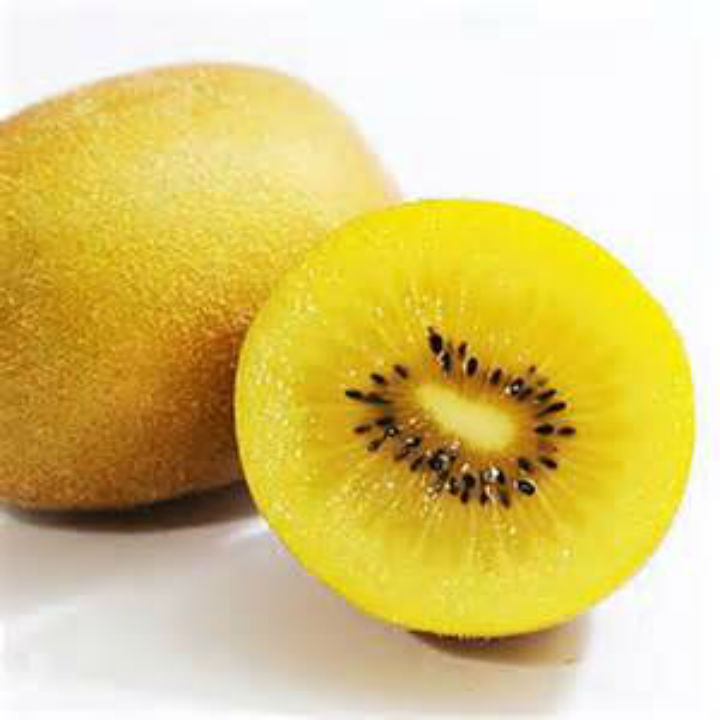 Golden Kiwi Fruit Seeds 10 Seeds Hardy Zone 7-11 SWEET TASTE! COMB