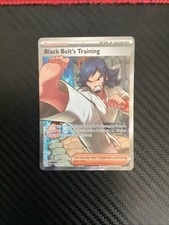 Black Belt's Training Holo 255/217 ME: Ascended Heroes Ultra Rare NM