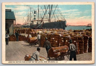 Cotton loading, Levee, New Orleans, LA, Green Stamp, Posted, Postcard
