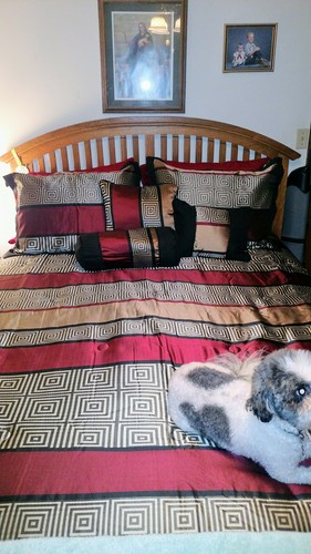 Queen Preston Woven Jacquard 
