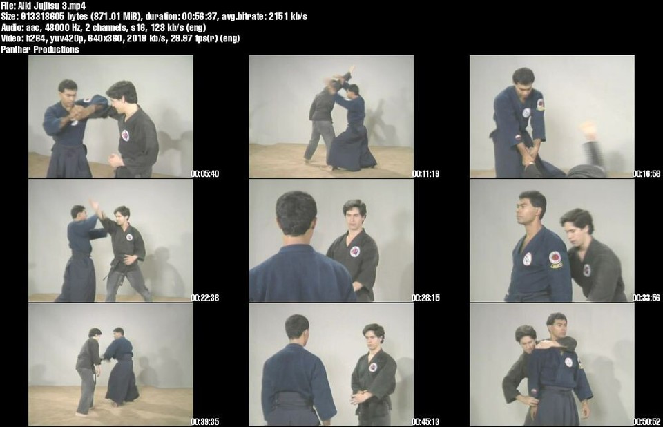 Home Study Course - Aiki Jujutsu Black Belt Course (DVDs + Certificates ...
